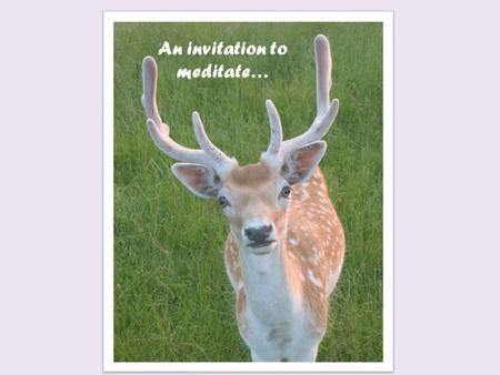 An invitation to meditate…. Types of Meditation Concentration Meditation Focuses of peace and stillness of the mind. Mindfulness Meditation Emphasizes.