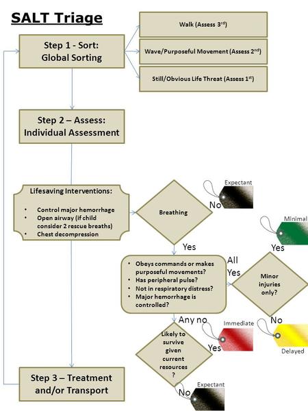 Step 1 - Sort: Global Sorting Walk (Assess 3 rd ) Wave/Purposeful Movement (Assess 2 nd ) Still/Obvious Life Threat (Assess 1 st ) Step 2 – Assess: Individual.