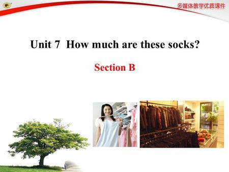 Unit 7 How much are these socks?