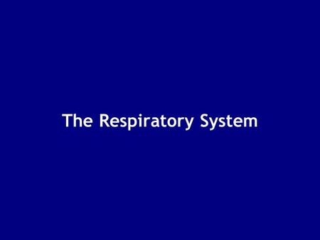 The Respiratory System