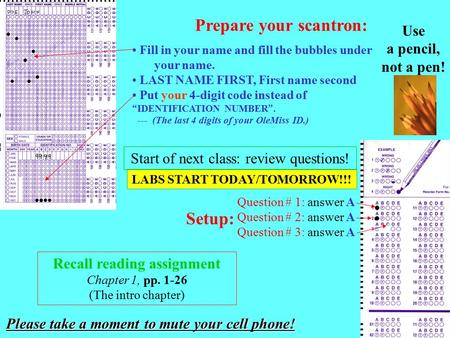 Prepare your scantron: Fill in your name and fill the bubbles under your name. LAST NAME FIRST, First name second Put your 4-digit code instead of “ IDENTIFICATION.