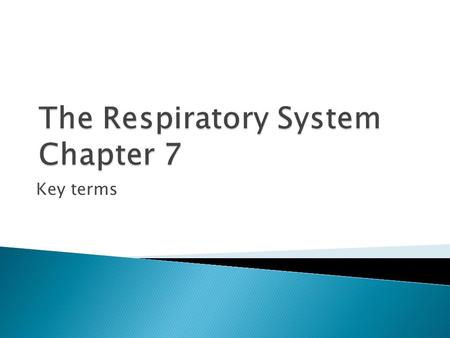 Key terms.  Having to do with the sinus  Sinus ◦ Air-filled cavity within a bone that is lined with mucous membrane that makes mucus ◦ Functions of.