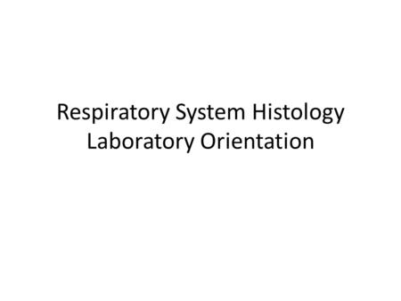 Respiratory System Histology Laboratory Orientation