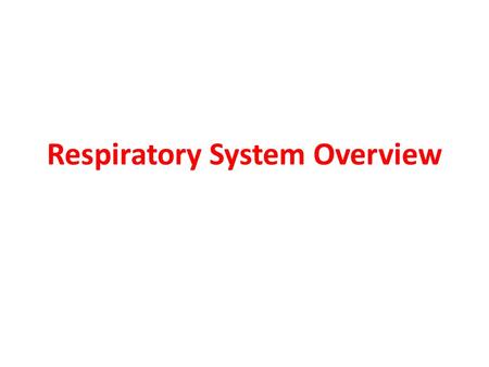 Respiratory System Overview. Nasal Cavity Warms and moistens air so that it doesn’t damage the respiratory tract. Dust and debris is also removed by short.