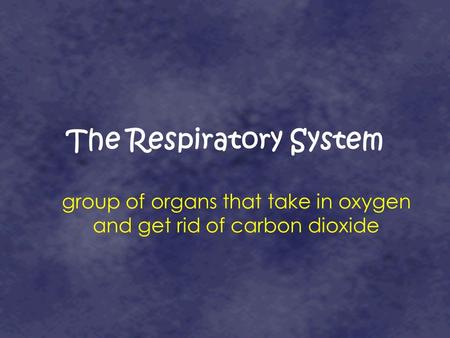 The Respiratory System