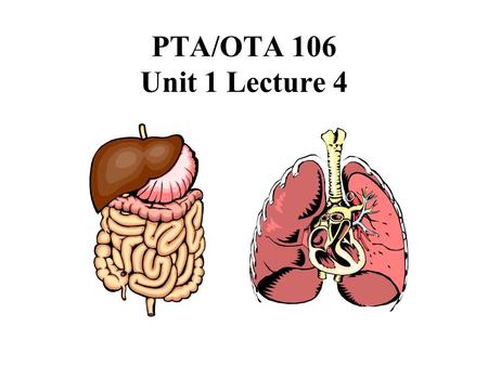 PTA/OTA 106 Unit 1 Lecture 4. Overview of the Digestive System.