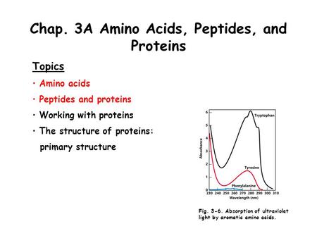 Chap. 3A Amino Acids, Peptides, and Proteins Topics Amino acids Peptides and proteins Working with proteins The structure of proteins: primary structure.