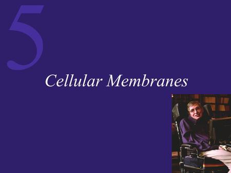 Cellular Membranes.