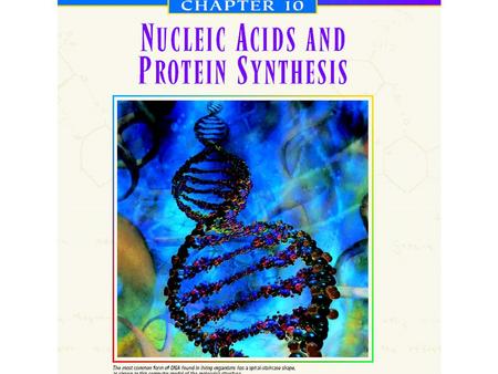 Section 10 – 1 Objectives Explain the principal function of DNA.