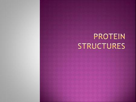  It refers to the amino acid content (type and number),and sequence in the polypeptide chain and the location of the disulfide bonds if present. 