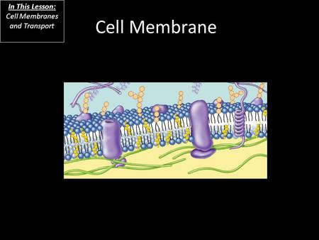 Cell Membrane In This Lesson: Cell Membranes and Transport.