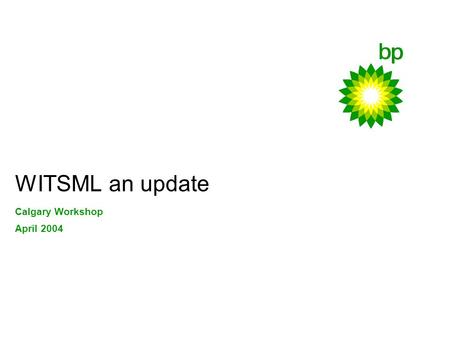 WITSML an update Calgary Workshop April 2004. Introduction Vision Reflection Motivation Achievements Activities Plans Expectations Alignment.