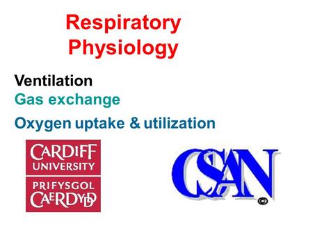 Respiratory Physiology