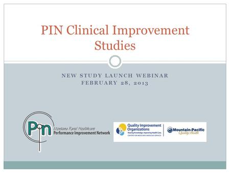 NEW STUDY LAUNCH WEBINAR FEBRUARY 28, 2013 PIN Clinical Improvement Studies.