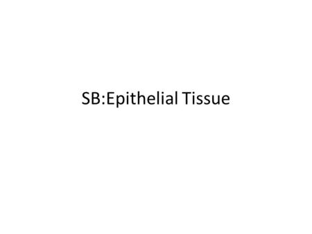 SB:Epithelial Tissue. On left side at top of page (in the margin) (Common Features) 1.Free surface: cells that are NOT attached to membrane 2. Nucleus: