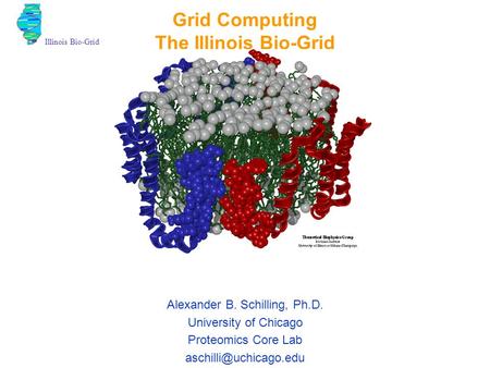 Illinois Bio-Grid Grid Computing The Illinois Bio-Grid Alexander B. Schilling, Ph.D. University of Chicago Proteomics Core Lab