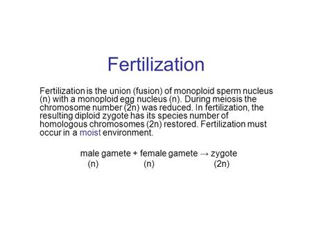 male gamete + female gamete → zygote