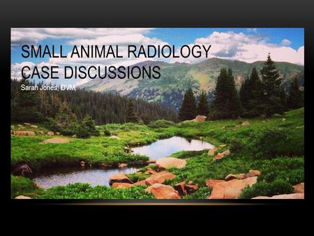 SMALL ANIMAL RADIOLOGY CASE DISCUSSIONS Sarah Jones, DVM.