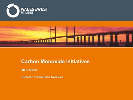 Carbon Monoxide Initiatives Mark Oliver Director of Business Services.