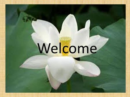 Welcome. Identity Teacher ‘s Identity Md.Rezaul Khayer Sarker Assistant teacher(Competer) FoliaGirls’ High School Gaibandha Class Identity English-1 st.