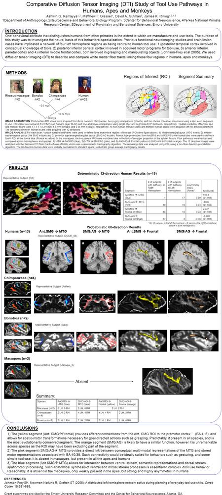 Comparative Diffusion Tensor Imaging (DTI) Study of Tool Use Pathways in Humans, Apes and Monkeys Ashwin G. Ramayya 1,2, Matthew F. Glasser 1, David A.