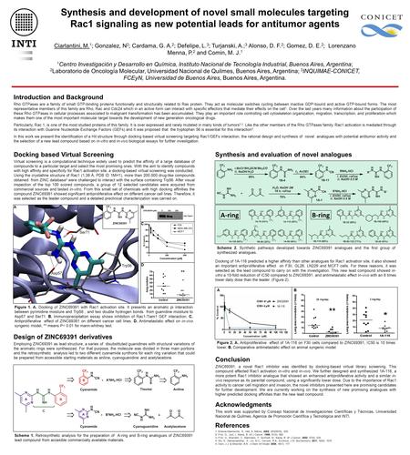 Concentration (µM) 25 mg/day 3 mg/day A-ringB-ring Synthesis and development of novel small molecules targeting Rac1 signaling as new potential leads for.