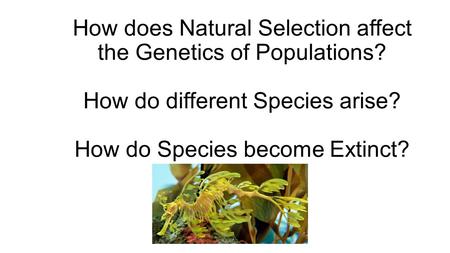 How does Natural Selection affect the Genetics of Populations? How do different Species arise? How do Species become Extinct?