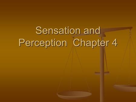 Sensation and Perception Chapter 4