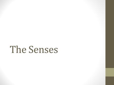 The Senses. Special senses Smell Taste Sight Hearing “Touch” = temperature + pressure + pain of skin, muscles, & joints Equilibrium (in the ear)