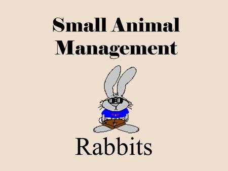 Small Animal Management Rabbits I. Parts Ear Cheek Belly Hock Tail Neck Shoulder Dewlap Rump Flank.