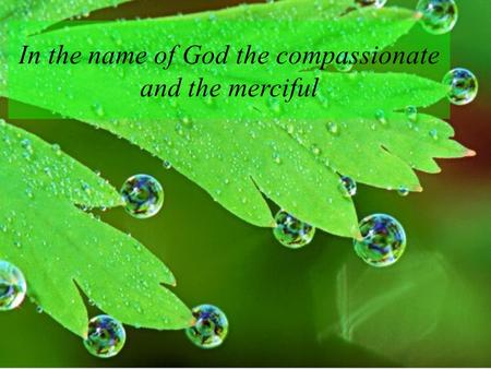 Center for Health Network Expansion & Health Promotion In the name of God the compassionate and the merciful.