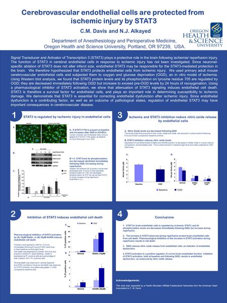 Cerebrovascular endothelial cells are protected from ischemic injury by STAT3 C.M. Davis and N.J. Alkayed Department of Anesthesiology and Perioperative.