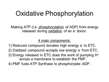 Oxidative Phosphorylation