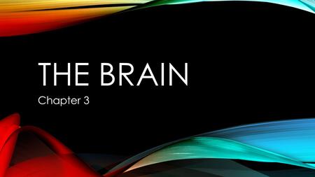 THE BRAIN Chapter 3. ALZHEIMER’S DISEASE Fatal disease of the hippocampus identified by forgetting, repeating, confusion, and memory loss; also changes.