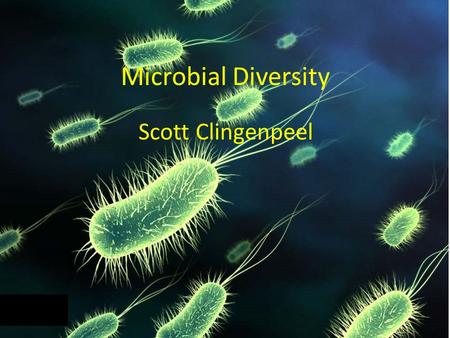 Microbial Diversity Scott Clingenpeel. Complete Genomes 2671 Prokaryotic genomes in GenBank 114 Eukaryotic genomes – 9 Plants – 52 Animals Do we really.