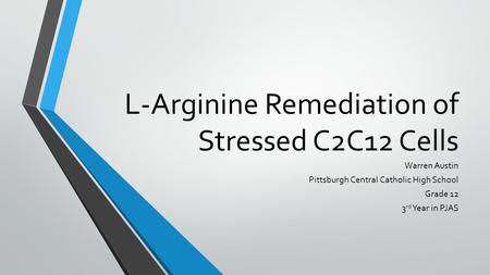 L-Arginine Remediation of Stressed C2C12 Cells Warren Austin Pittsburgh Central Catholic High School Grade 12 3 rd Year in PJAS.