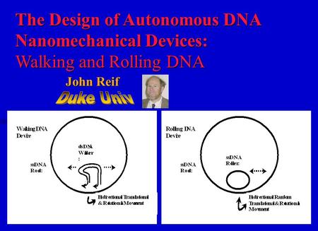 The Design of Autonomous DNA Nanomechanical Devices: Walking and Rolling DNA John Reif John Reif.