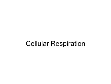 Cellular Respiration.