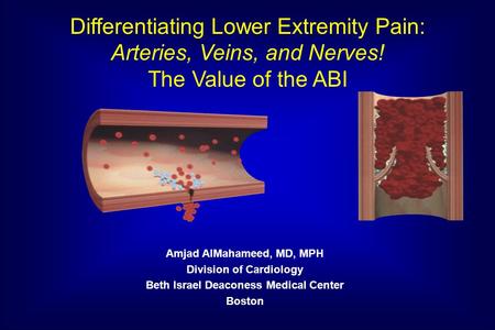 Amjad AlMahameed, MD, MPH Division of Cardiology Beth Israel Deaconess Medical Center Boston Differentiating Lower Extremity Pain: Arteries, Veins, and.