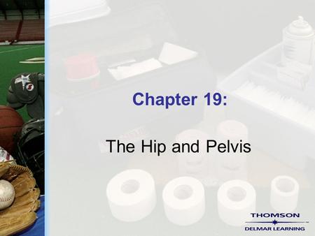 Chapter 19: The Hip and Pelvis. Copyright ©2004 by Thomson Delmar Learning. ALL RIGHTS RESERVED. 2 Common Injuries  Bursitis  Fracture  Quadriceps.