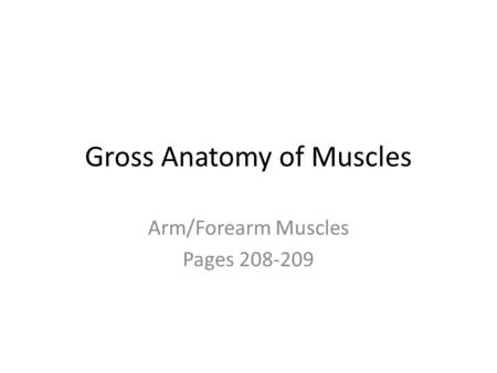 Gross Anatomy of Muscles