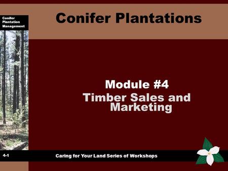 Conifer Plantation Management Caring for Your Land Series of Workshops Conifer Plantations Module #4 Timber Sales and Marketing 4-1.