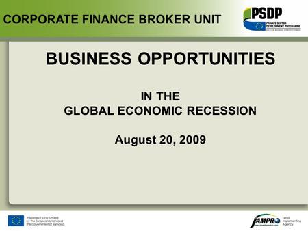 BUSINESS OPPORTUNITIES IN THE GLOBAL ECONOMIC RECESSION August 20, 2009 CORPORATE FINANCE BROKER UNIT.