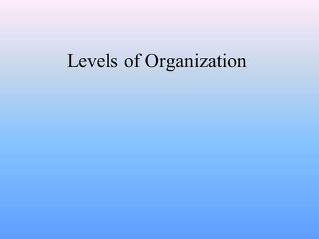 Levels of Organization