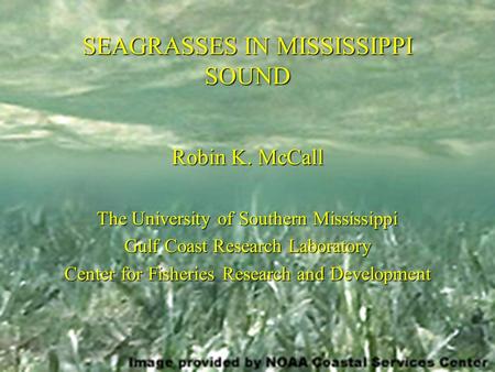 SEAGRASSES IN MISSISSIPPI SOUND