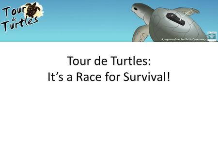 Tour de Turtles: It’s a Race for Survival!. Retrieved from