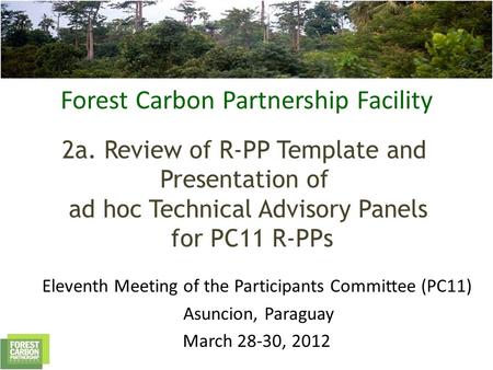 Forest Carbon Partnership Facility 2a. Review of R-PP Template and Presentation of ad hoc Technical Advisory Panels for PC11 R-PPs Eleventh Meeting of.