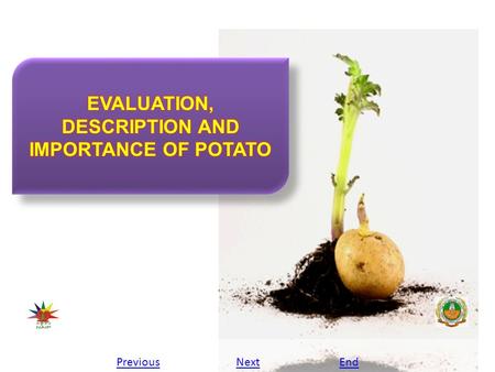 PreviousNextEnd. Evaluation, description and importance of potato Europe would wait until the 1780's before the potato gained prominence anywhere. About.