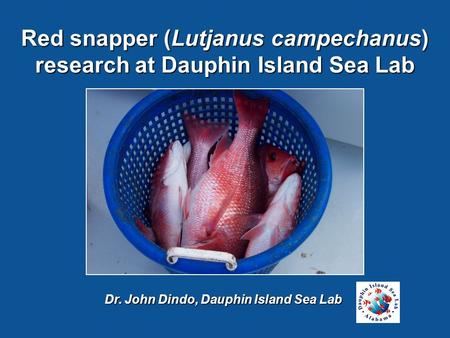 Dr. John Dindo, Dauphin Island Sea Lab