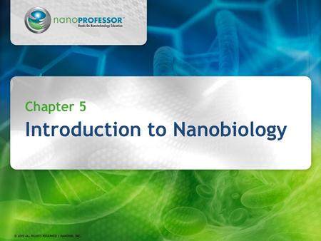 Chapter 5 Introduction to Nanobiology. 2 Chapter 5 Biological Molecules: Components of the Molecular Machinery of Life Structural Hierarchy in Biology.